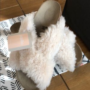 Papillio Daytona Sherling Slide